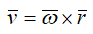 Формула Эйлера окружной скорости точки в векторном виде